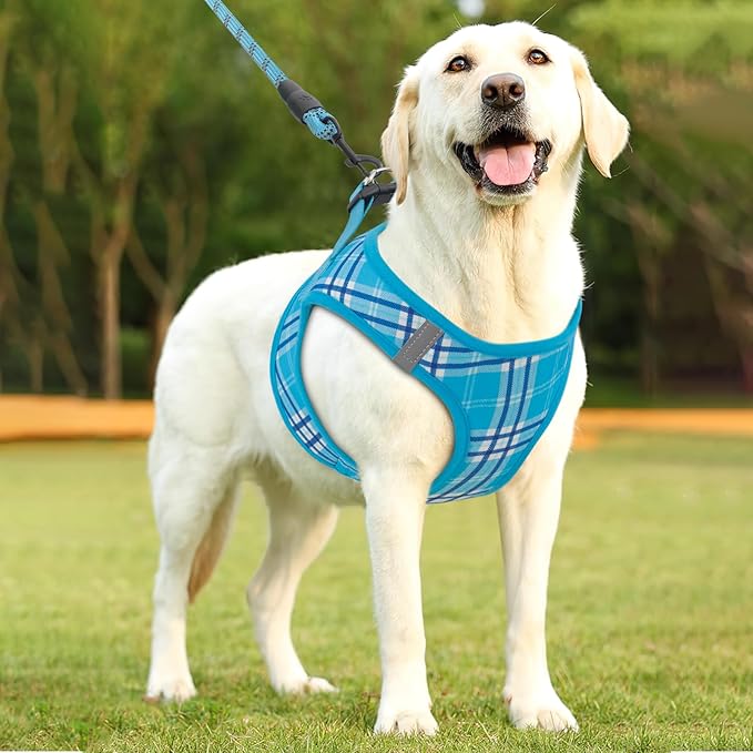 Athena Collection Step-in Dog Harness with 5 ft Leash, Large Dog Harness Leash Set Large No Pull Dog Vest Harness with Reflective Strips Adjustable Velcro, Easy Walk Dog Harness, Blue