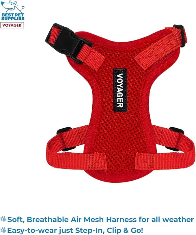 Voyager Step-in Lock Adjustable Cat Harness w. Cat Leash Combo Set with Neoprene Handle 5ft - Supports Small, Medium and Large Breed Cats by Best Pet Supplies - Red, XXXS