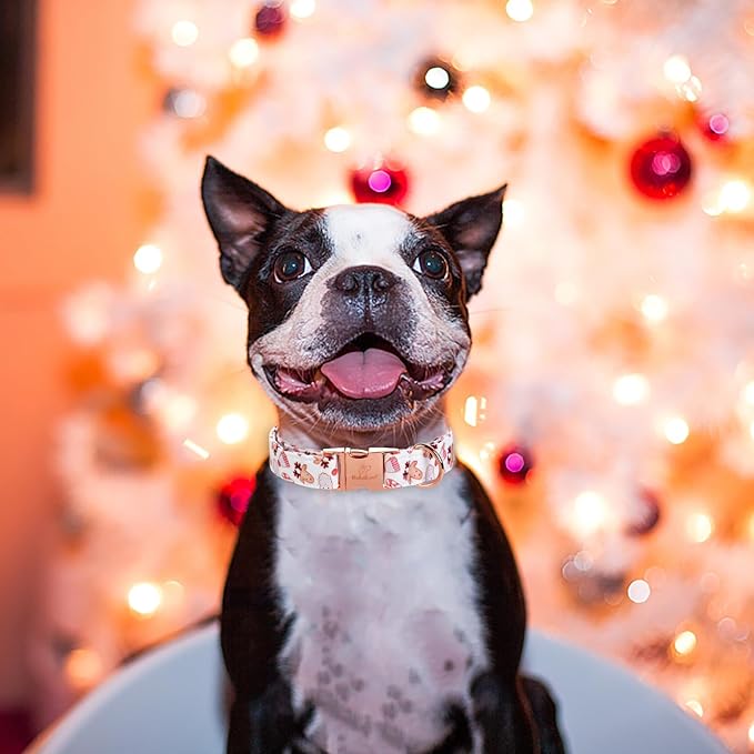 Christmas Dog Collar for Small Dog,White Pink Claus Elk Santa Male Dog Collar with Safety Metal Buckle Adjustable Puppy Collars for Medium Large Boy Dog,S,Neck 10"-16"