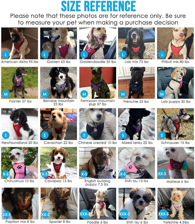 Lukovee Dog Seat Belt for Car, Adjustable Dog Car Harness for Large Medium Small Dogs, Soft Padded & Breathable Mesh Dog Seatbelt with Car Vehicle Connector Strap (Black,X-Small)