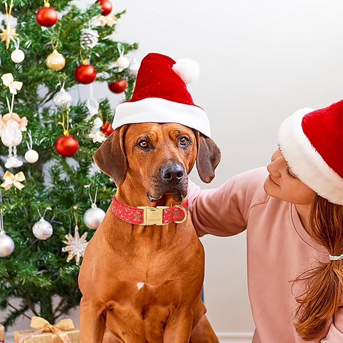 Christmas Dog Collars for Small Dog,Red Gingerbread Man Collar with Safety Metal Buckle Adjustable Puppy Collars for Medium Large Dog,Boy&Girl&Male&Female Dog Gift,S-10-16"