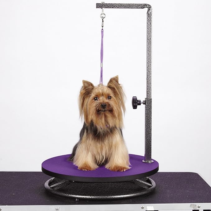 Master Equipment Pet Grooming Table for Pets,Purple