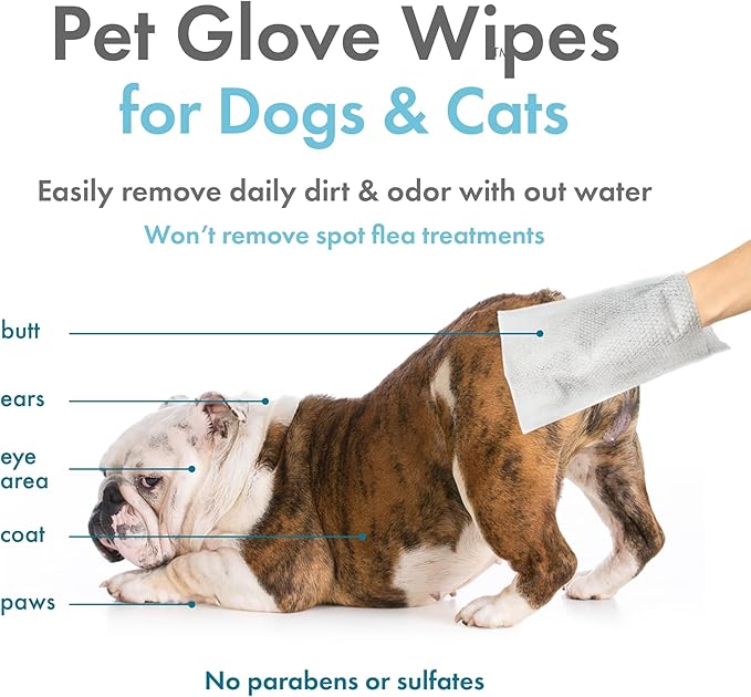 Petkin Pet Glove Wipes for Dogs and Cats, 30 Wipes - Double-Sided Cleaning Wipes - Gently Cleans Ears, Face, Butt, Body and Eye Area - Convenient, Ideal for Home or Travel - Vanilla Scented