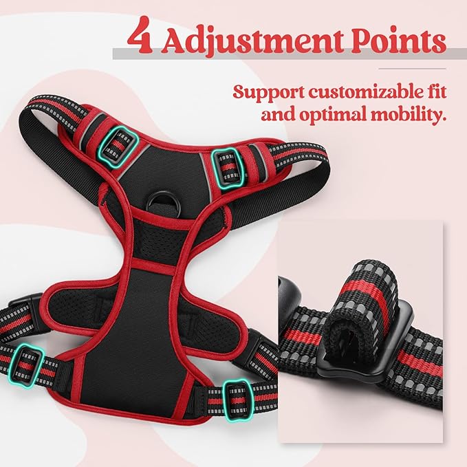 rabbitgoo Dog Harness, No-Pull Pet Harness with 2 Leash Clips, Adjustable Soft Padded Dog Vest, Reflective No-Choke Pet Oxford Vest with Easy Control Handle for Large Dogs, Black & Red, L