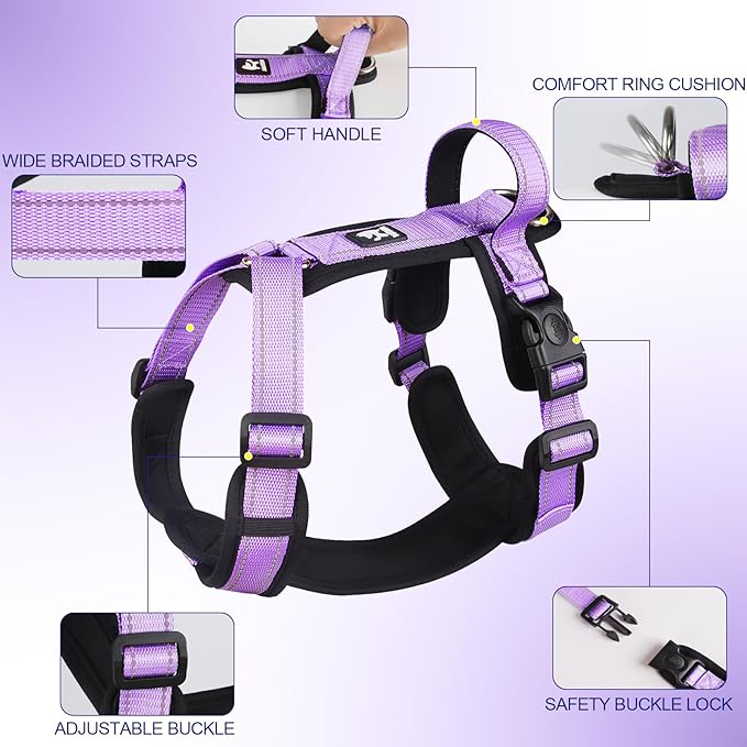 Patas Lague No Pull Dog Harness for Small Medium Dogs, Soft Adjustable Step in No Choke Dog Harness and Leash Set, Reflective Solid Dog Vest Harness with Buckle Lock, Purple L