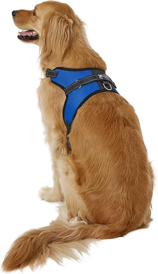 No Pull Reflective Adjustable Dog Harness with Handle- Comfortable Soft All Weather Mesh, Easy On Puppy Harness for Small Medium and Large Dogs (Blue) Large
