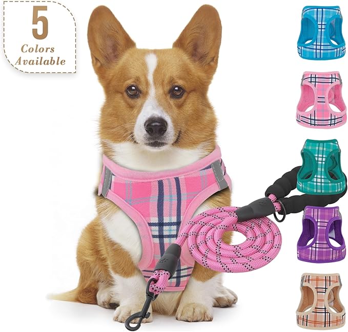 Athena Collection Step-in Dog Harness with 5 ft Leash, Small to Medium Dog Harness Leash Set Medium No Pull Dog Vest Harness with Reflective Strips Adjustable Velcro, Easy Walk Puppy Harness, Pink