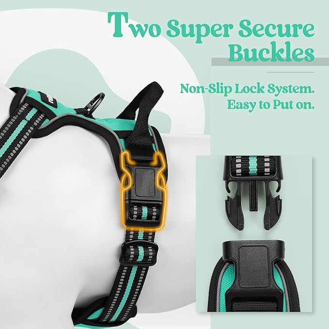 rabbitgoo Dog Harness, No-Pull Pet Harness with 2 Leash Clips, Adjustable Soft Padded Dog Vest, Reflective No-Choke Pet Oxford Vest with Easy Control Handle for Medium Dogs, Turquoise, M