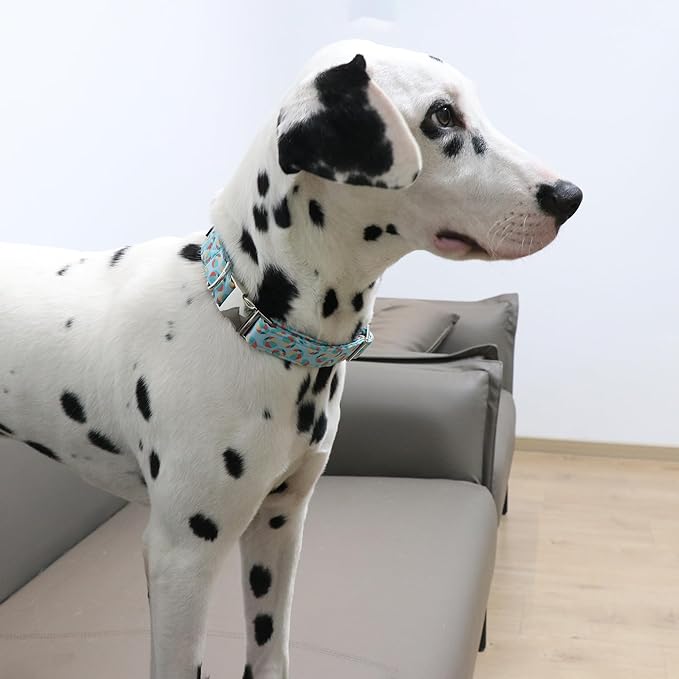 Lionet Paws Boy Dog Collar, Comfortable Adjustable Cute Sea Lion's Ball Collar with Metal Buckle for Male Dogs Gift, Medium, Neck 13.5-22 inches