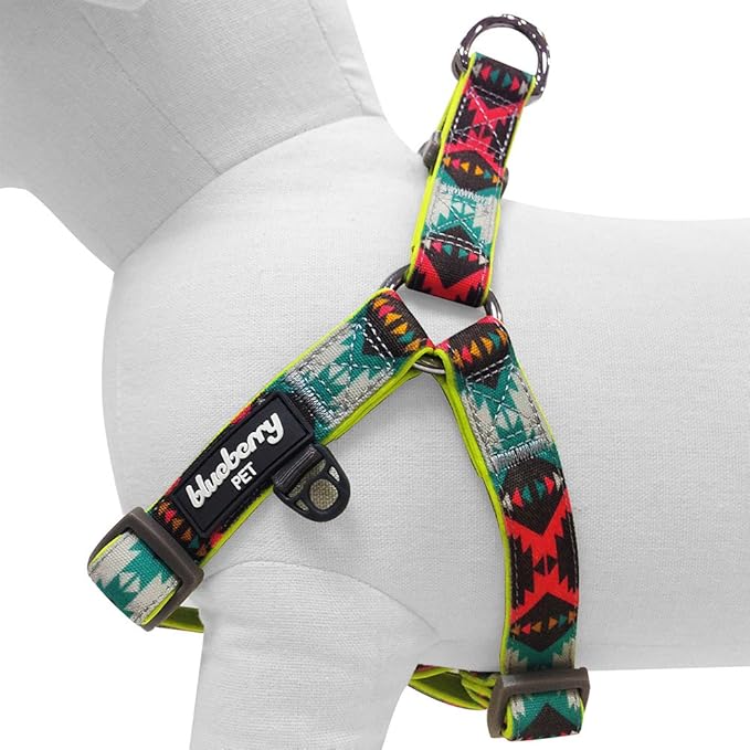 Blueberry Pet 2 Colors Soft & Comfy Step-in Southwestern Vintage Tribal Print Padded Dog Harness, Chest Girth 15.5" - 19.5", Extravagant Green, XS/S, Adjustable Harnesses for Dogs