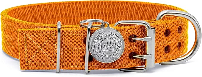 Pit Bull Collar, Dog Collar for Large Dogs, Heavy Duty Nylon, Stainless Steel Hardware (XL-1.5 Inches Wide, Orange Juice)