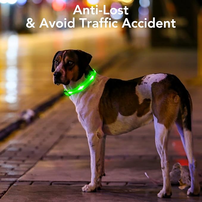 BSEEN Light Up Dog Collars - Glowing LED Dog Collar, Reflective Puppy Collar, Adjustable Lighted Dog Collar, Rechargeable Pet Collar for Night Walking (Green-II, Large)