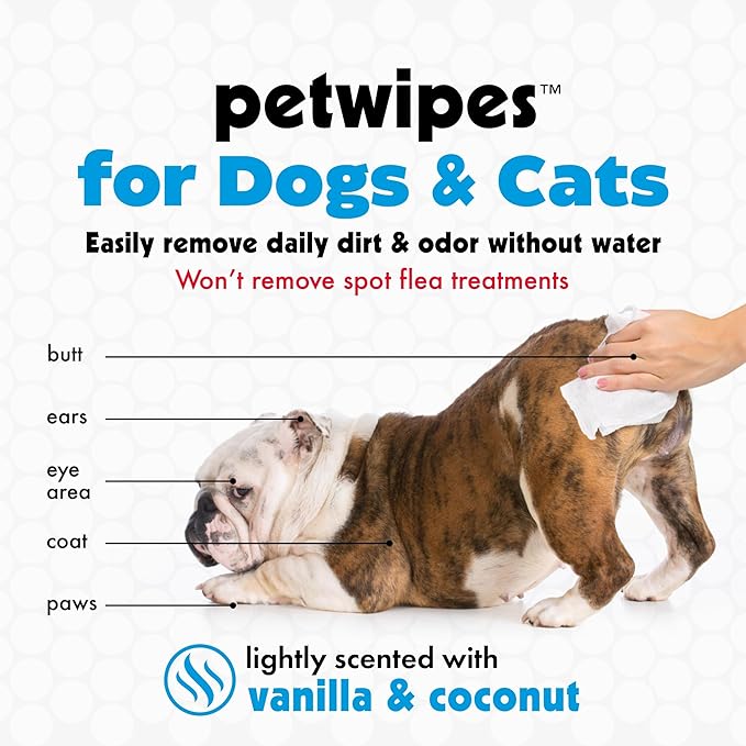 Petkin Mega Valu-Pak Pet Wipes, 125 Wipes - Pet Wipes for Dogs & Cats - for Face, Paws, Ears, Body & Eye Area - Super Convenient Dog Cleaning Wipes