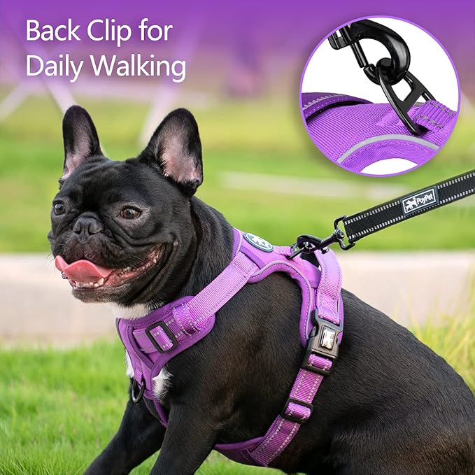 PoyPet No Pull Dog Harness, No Choke Reflective Dog Vest, Adjustable Pet Harnesses with Easy Control Padded Handle for Small Medium Large Dogs(Purple Matching Trim,M)
