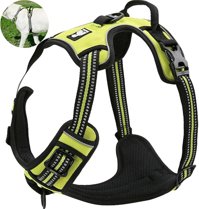 OLizee® New No Pull Dog Harness Outdoor Adventure Reflective Markings Pet Vest with Handle Adjustable Protective Nylon Walking Pet Harness Variety of Sizes and Colors,Green XL