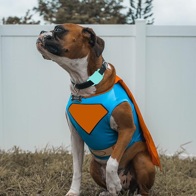 Silicone Tile Dog Collar Holder for Tile Pro 2020 & 2018, 2 Pack Tile Case Protective Cover for Pet Dog Cat (Black/Mint Green)