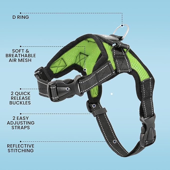 No Pull Reflective Adjustable Dog Harness With Handle- Comfortable Soft All Weather Mesh, Easy On Puppy Harness For Small Medium and Large Dogs (Green) X-Large