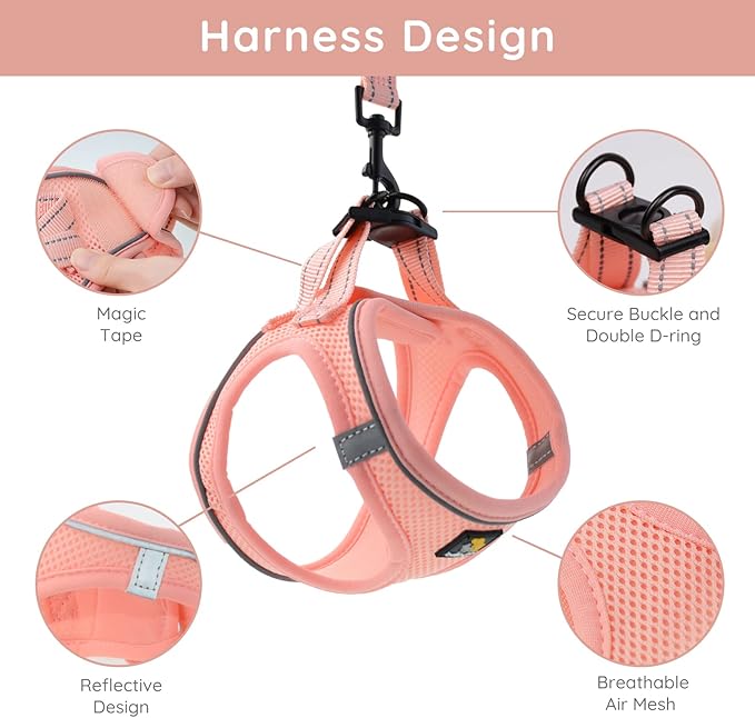 BELLA & PAL Puppy Harness with Leash Set, Dog Harness for Small Dogs No Pull, Dog Leash for Small Dogs, Step in Harness for Extra Small Dogs, Pink Harness, XS