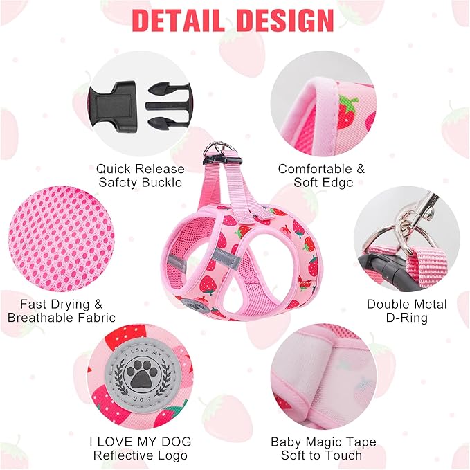 BEAUTYZOO Step in Dog Harness and Leash Set,Reflective Dog Harness No Pull No Choke Puppy Harness for Small Medium Large Dogs Cats,Soft Padded Mesh Vest Harnesses for Girl and Boy Pets, Strawberry XS