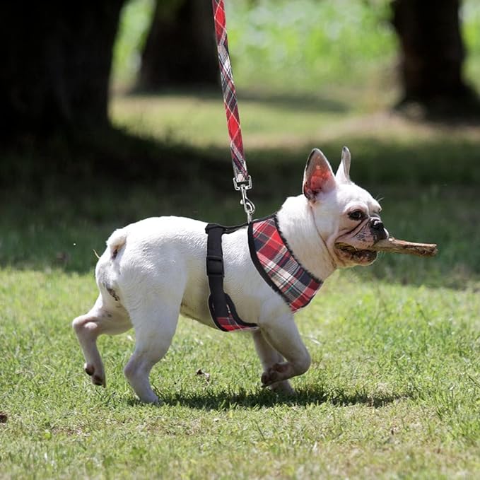 PUPTECK Soft Mesh Dog Harness and Leash Set Pet Puppy Cat Comfort Padded Vest No Pull Harnesses, Red Mixed, S