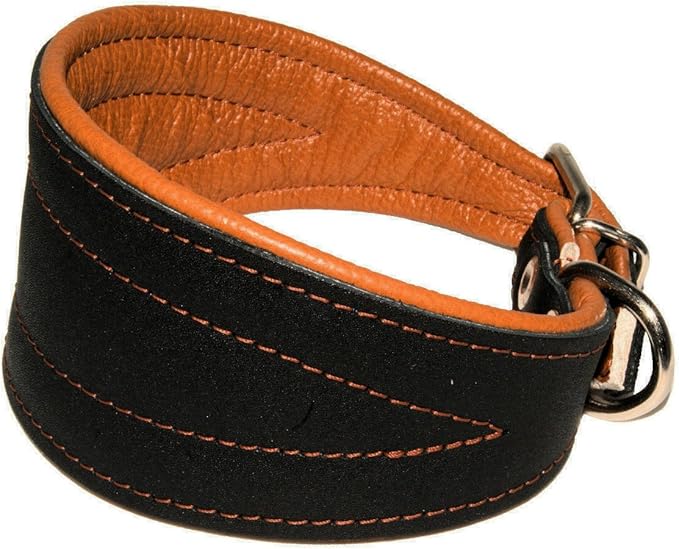 Real Leather Extra Wide Padded Tapered Dog Collar Glossy Black Greyhound Saluki Deerhound Lurcher Whippet Dachshund