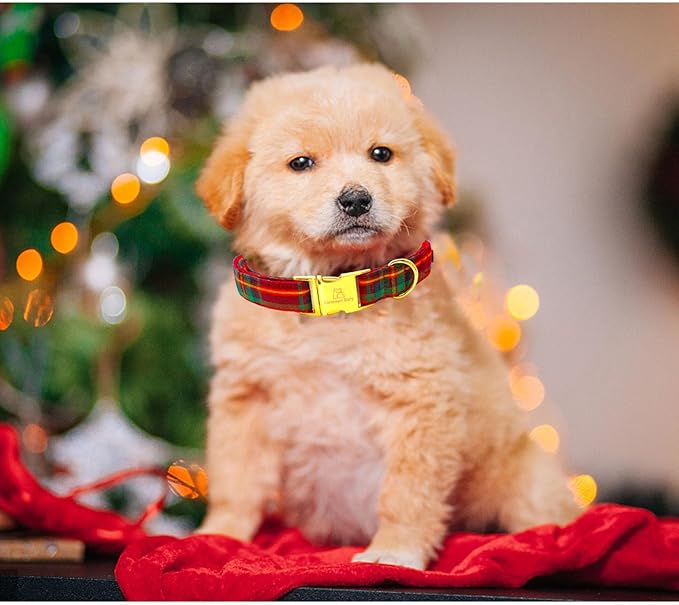 Lionheart glory Christmas Plaid Dog Collar, Dogs Collar Adjustable Soft and Comfortable Collars for Small Dogs Girl or Boy Pet Gift Fall Collar Dog