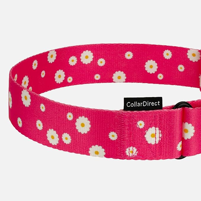 CollarDirect Martingale Collars for Dogs Heavy Duty Floral Pattern Female Safety Nylon Training Wide Collar Flower Design Large Medium (M, Neck Size 12"-17", Pink)