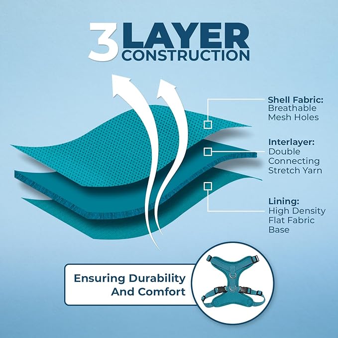 Voyager Step-in Lock Pet Harness - All Weather Mesh, Adjustable Step in Harness for Cats and Dogs by Best Pet Supplies - Turquoise, XS