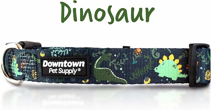 Downtown Pet Supply - Best, Cute & Fancy Dog Collar - Lightweight Adjustable Dog Collar with Quick Buckle & D-Ring - Hand Wash Safe - Dino - M - Medium Dog Collar