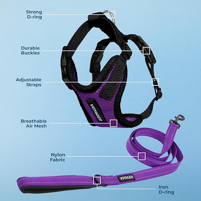 Voyager Step-in Lock Dog Harness w Reflective Dog Leash Combo Set with Neoprene Handle 5ft - Supports Small, Medium and Large Breed Puppies/Cats by Best Pet Supplies - Purple/Black Trim, L