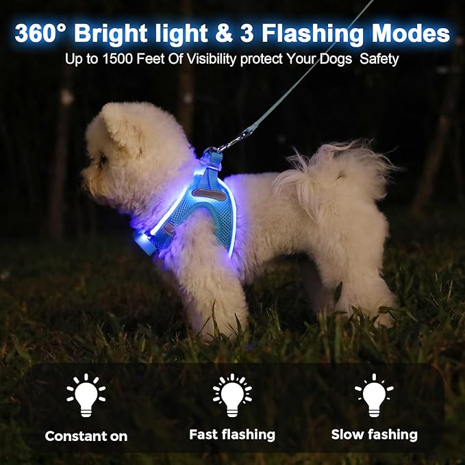 Light Up Dog Harness,LED Dog Harness Rechargeable, Lighted Dog Vest Harness for Night Walking,Reflective Safety Vest for Small Medium Large Dogs,Adjustable Soft Mesh,Blue,Large