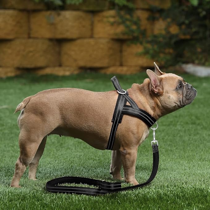 Plutus Pet No Pull Dog Harness with Breathable Mesh Padded, Adjustable Reflective Escape Proof Dog Harness, Quick Fit Dog Vest Harness for Small Medium Large Dogs(M, Black)