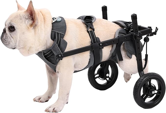 Small Dog Wheelchair for Back Legs, Lightweight Dog&Cat&Pets Wheelchair Cart with Disabled Hind Legs Walking, Adjustable Doggy Wheelchair Cart with Wheels for Back Legs