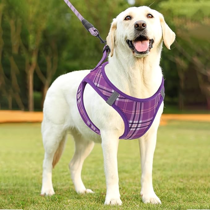 Athena Collection Step-in Dog Harness with 5 ft Leash, Large Dog Harness Leash Set Large No Pull Dog Vest Harness with Reflective Strips Adjustable Velcro, Easy Walk Dog Harness, Purple
