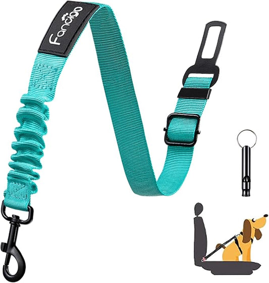 Dog Seat Belt for Car. Adjustable Dog Safety Seatbelt. Adjustable Strap, Strong Nylon Fabric, Bungee Buffer Dog Puppy Car Seat Belt. (Teal - 1 Pack)