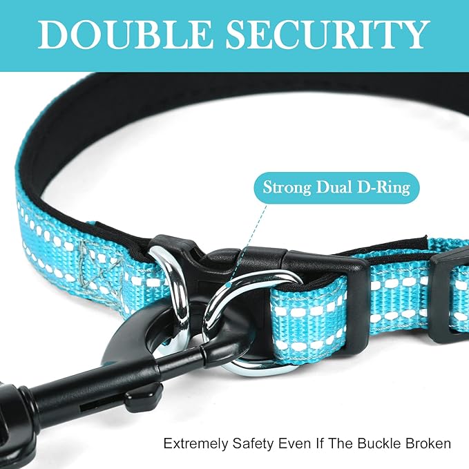 AUAUY Reflective Nylon Dog Collars, Adjustable Classic Pet Collars with Soft Neoprene Padding, Double Security Dual D-Ring and Quick Release Buckle for Small Puppy, Medium and Large Dogs (Lake Blue-L)