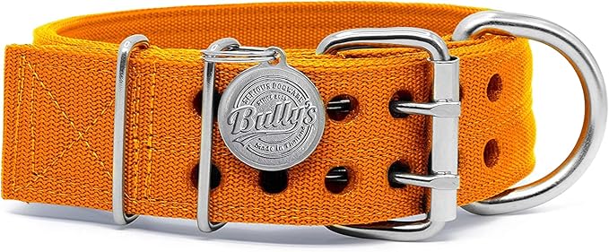 Pit Bull Collar, Dog Collar for Large Dogs, Heavy Duty Nylon, Stainless Steel Hardware (Large, Orange Juice)