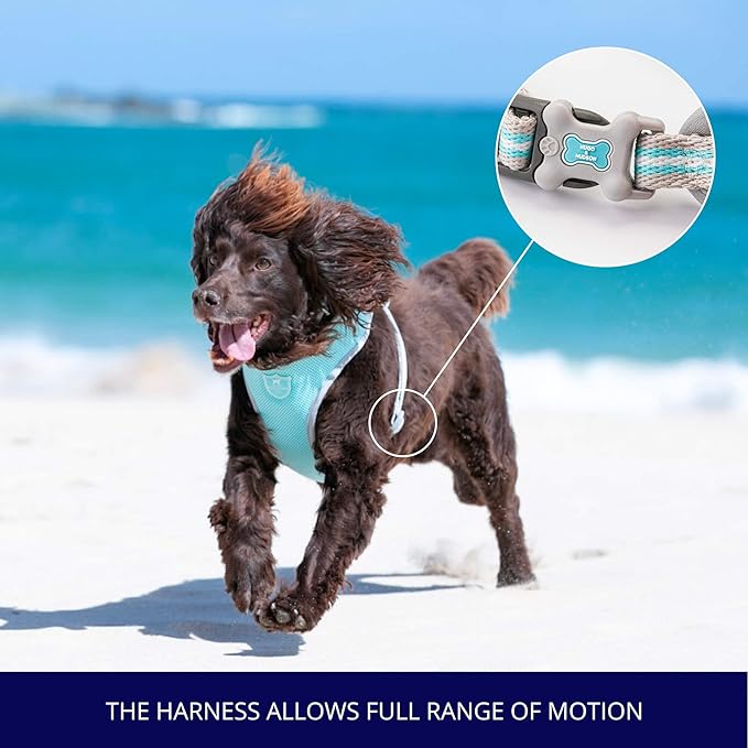 HUGO & HUDSON Dog Harness No-Pull Pet Harness Adjustable Quick Dry Mesh Padded Vest, Aqua, L