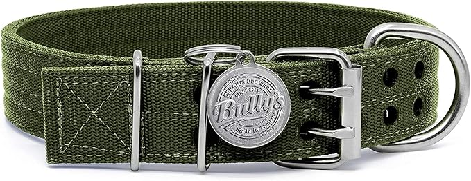 Pit Bull Collar, Dog Collar for Large Dogs, Heavy Duty Nylon, Stainless Steel Hardware (Large, Army Green)