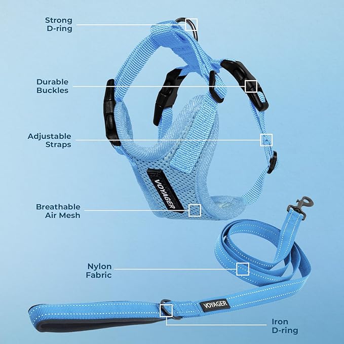 Voyager Step-in Lock Dog Harness w Reflective Dog Leash Combo Set with Neoprene Handle 5ft - Supports Small, Medium and Large Breed Puppies/Cats by Best Pet Supplies - Baby Blue, S