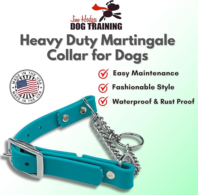 Martingale Collar for Dogs, Biothane, Stainless Steel Hardware, No Pull, Made in The USA, Professional Grade, XS, Teal