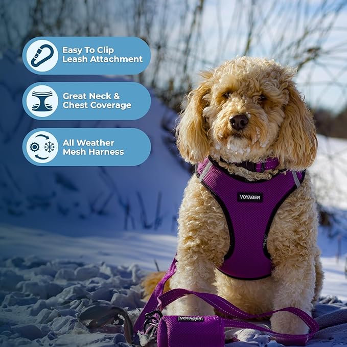 Voyager Step-in Air Dog Harness - All Weather Mesh, Reflective, No Pull Harness for Small, Medium Dogs, Cats - Secure with Hook & Loop Fastener, Buckle, Double D-Rings - Purple/Black Trim, XXS