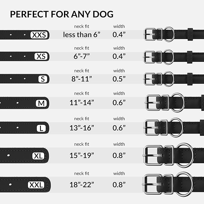 CollarDirect Rolled Leather Dog Collar, Soft Padded Round Puppy Collar, Handmade Genuine Leather Collar Dog Small Large Cat Collars 13 Colors (6 Inch, Black Smooth)