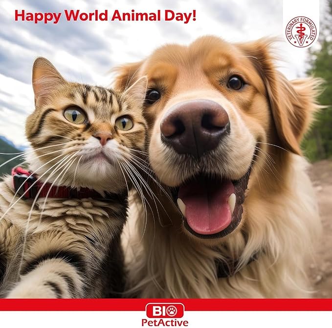 Bio Pet Active Beauty Shine Spray for Cats and Dogs - Improves Coat Health, Reduces Static and Adds Shine, Moisturizes and Softens Fur with Provitamin B5, 3.25 fl oz, 1 Pack