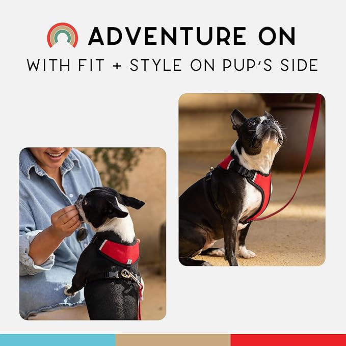 Dog Harness, Puppy Harness, Soft Harness for Dogs, Comfortable Dog Harness, Small Dog Harness, Dog Harness with Padding, Snug Fit Design, 4 Point Adjustable - Wildebeest (L - 26~32 inch Girth, Red)