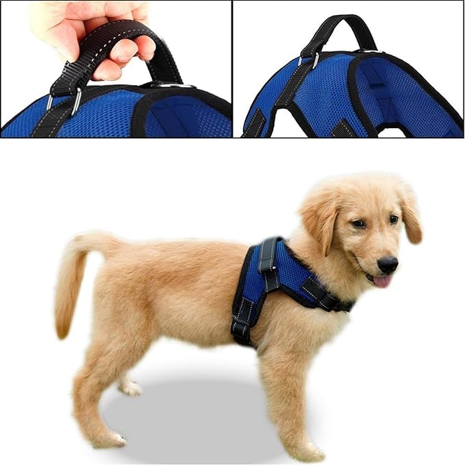 No Pull Reflective Adjustable Dog Harness With Handle- Comfortable Soft All Weather Mesh, Easy On Puppy Harness For Small Medium and Large Dogs (Blue) XX-Small
