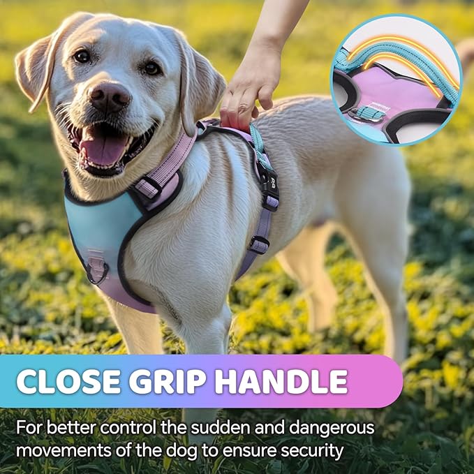 QQPETS No Pull Dog Harness with 2 Leash Clips，Adjustable Soft Padded Dog Vest, Reflective Outdoor Pet Oxford Vest with Easy Control Handle for Small to Large Dogs Walking Training
