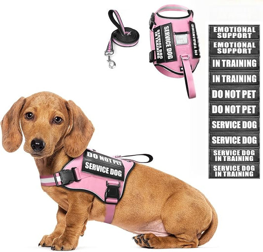 Service Dog Harness and Leash Set, Training Dog Vest with 10 Dog Patches, Emotional Support Therapy Dog Vest Harness for Small Medium Large and Extra Large Dogs(Pink, XS)