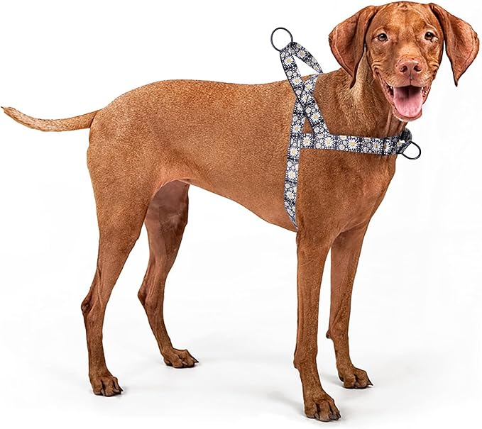 No Pull Dog Harness for Small, Medium, and Large Pets - Floral Pattern Nylon Safety Training Dog Harness (XS, Daisy)