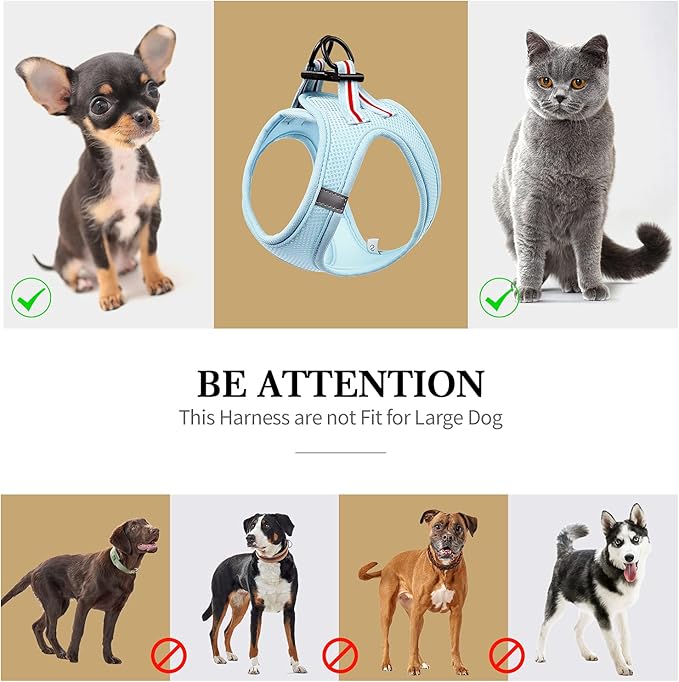 Heele Pet Step in Dog Harness, Breathable Puppy Dog Mesh Vest Harnesses, Adjustable Reflective Soft Padded for Cats Puppies Extra Small, Small Medium Dog